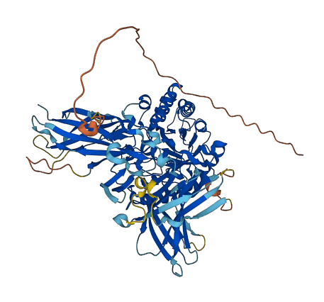 ENGASE 3D structure