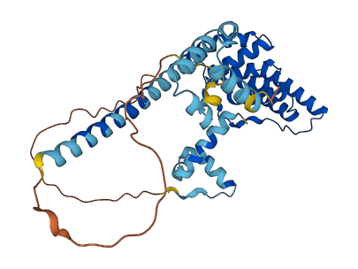 ST13P5 3D structure