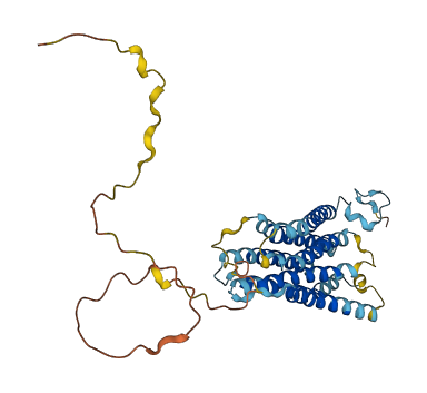 GPRC5A 3D structure
