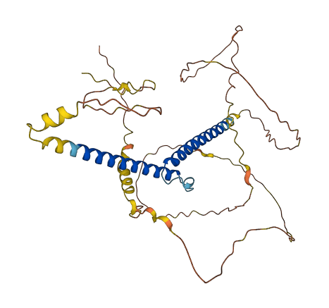 BHLHE22 3D structure