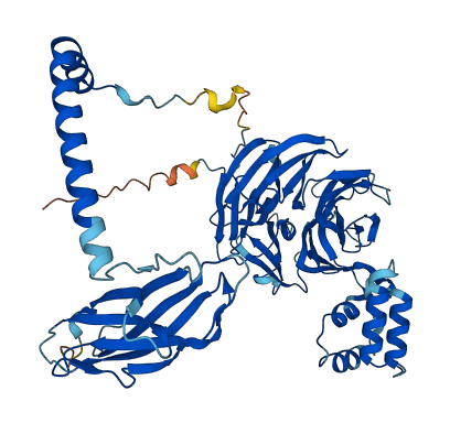 BBS1 3D structure