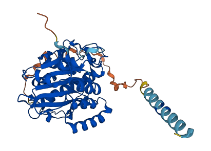 B3GNT7 3D structure