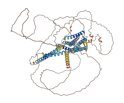 GPR156 3D structure