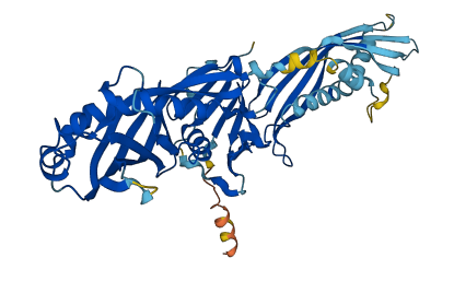 BPIFB6 3D structure