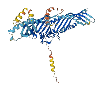 BPIFC 3D structure