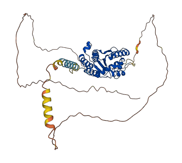 TOR1AIP2 3D structure
