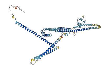 CCDC148 3D structure