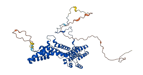 BEST4 3D structure