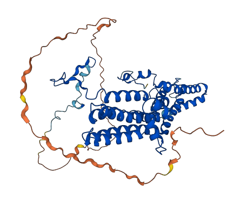 BEST2 3D structure