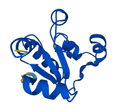 TSTD1 3D structure