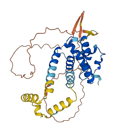 SPDYE1 3D structure