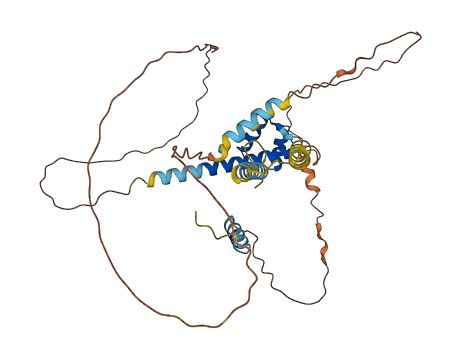 DMBX1 3D structure