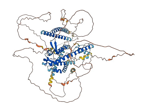 MYRIP 3D structure