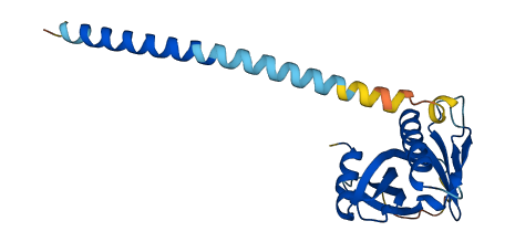 STXBP6 3D structure