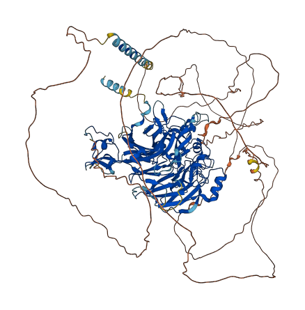 SEMA6D 3D structure