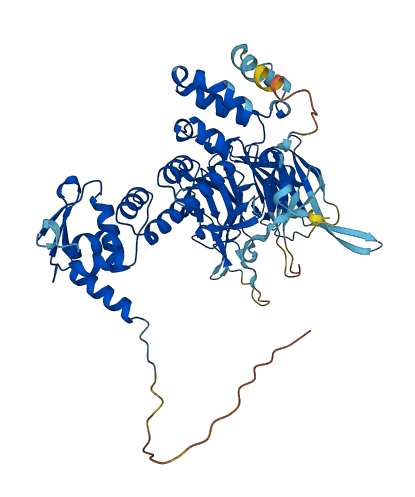 KBTBD8 3D structure