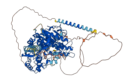NLGN4Y 3D structure
