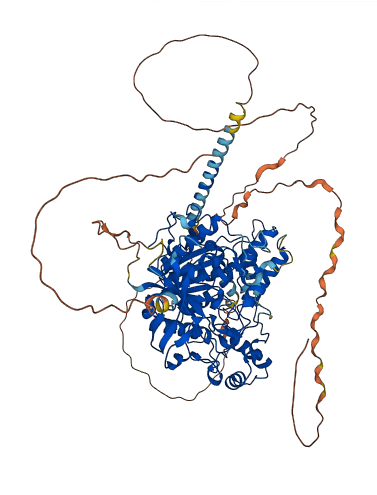 NLGN2 3D structure