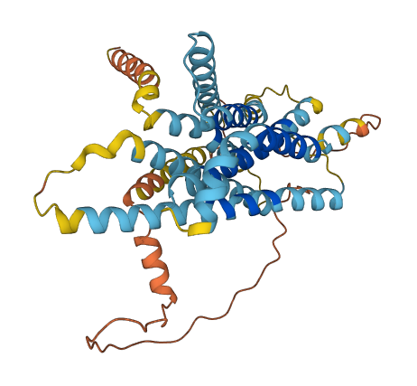 VN1R2 3D structure