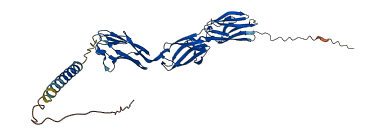 CADM4 3D structure