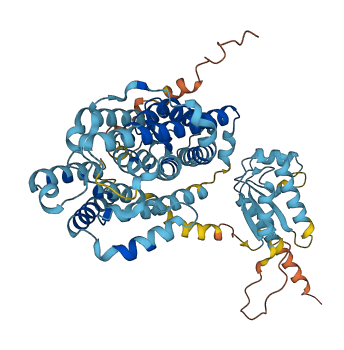 SLC26A10 3D structure