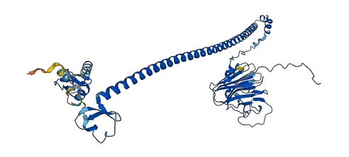 TRIM58 3D structure