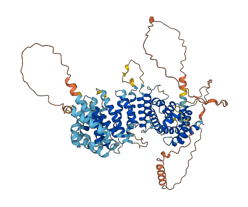 LINS1 3D structure