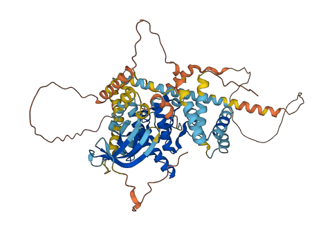 NEK11 3D structure
