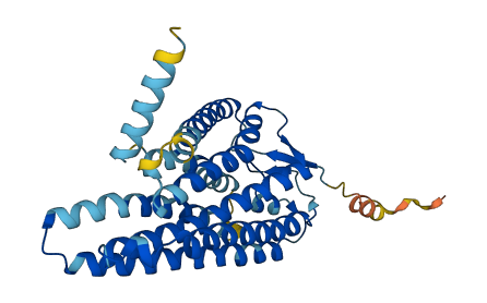 OR5T1 3D structure