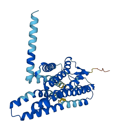 OR2T12 3D structure