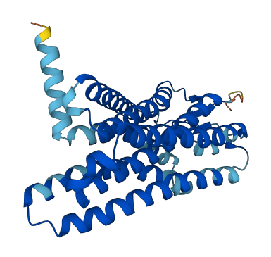 OR2L5 3D structure