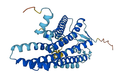 OR2M7 3D structure