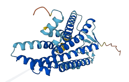 OR2M3 3D structure
