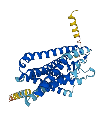 OR2AK2 3D structure