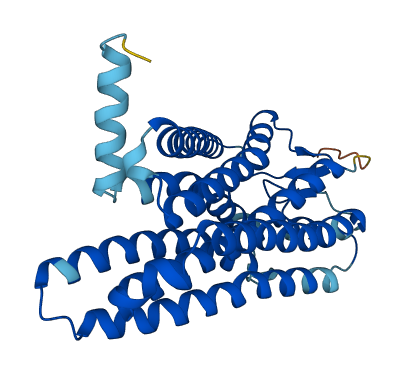 OR2L3 3D structure