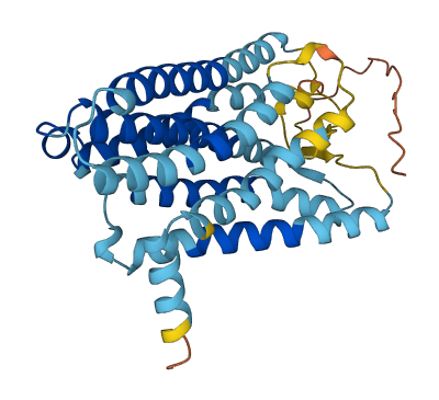 OR11H1 3D structure