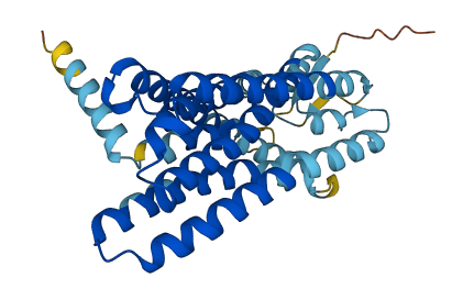 OR2Z1 3D structure