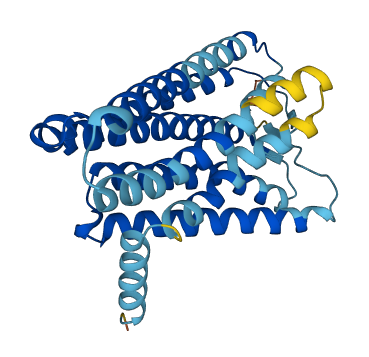 OR7D4 3D structure