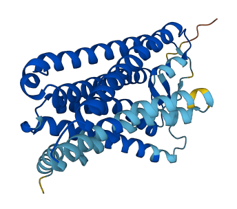 OR7G1 3D structure