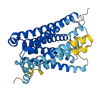 OR7A2P 3D structure