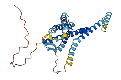 GPR32P1 3D structure