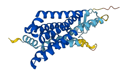 OR10H4 3D structure