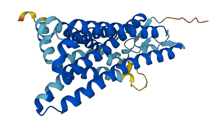 OR10H5 3D structure