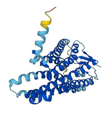 OR4F17 3D structure