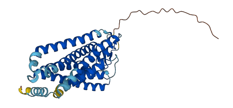 OR4C5 3D structure