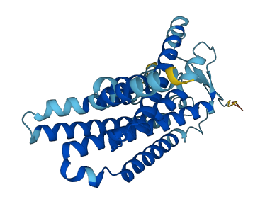 OR4F15 3D structure