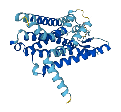 OR4F6 3D structure