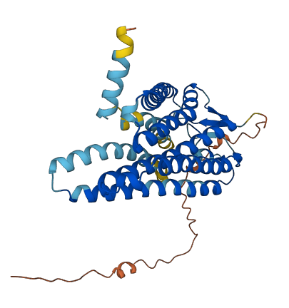 OR5AU1 3D structure