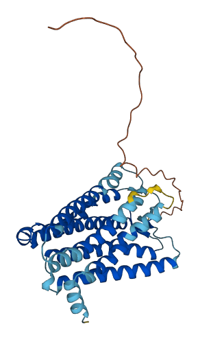 OR11G2 3D structure