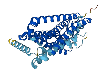 OR4E2 3D structure